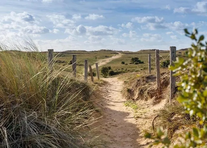 La Rose De L Ocean *